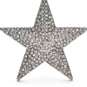 Silver Star Crystal Brooch